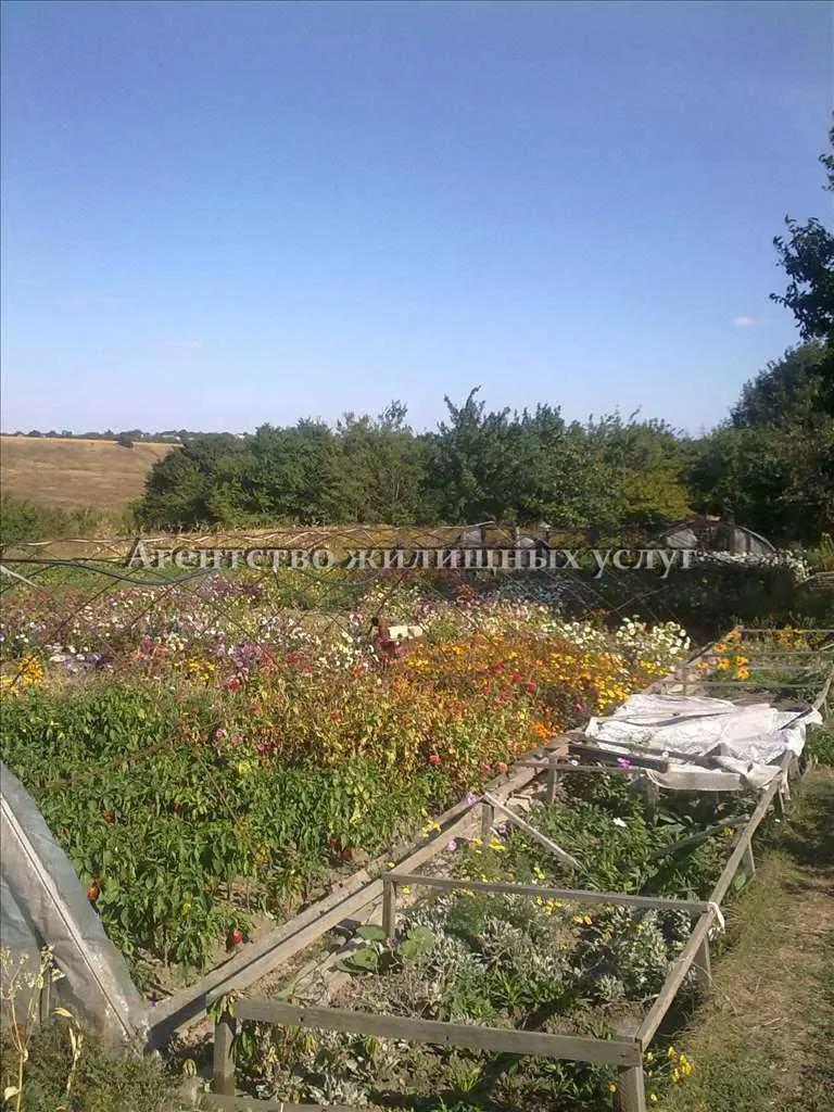 Будинок у Щербанях