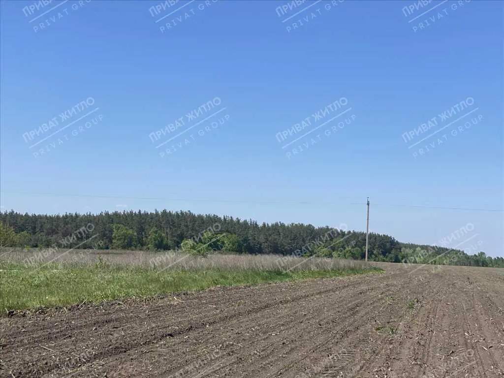 Ділянка 32 сотки біля лісу в селі Великий Тростянець