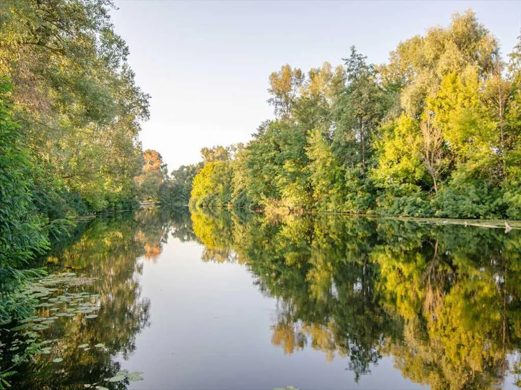 Ділянка з комунікаціями біля річки