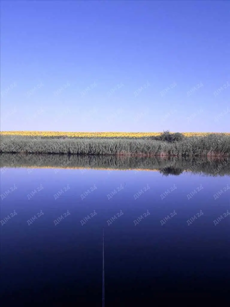 Будинок з виходом до ставка