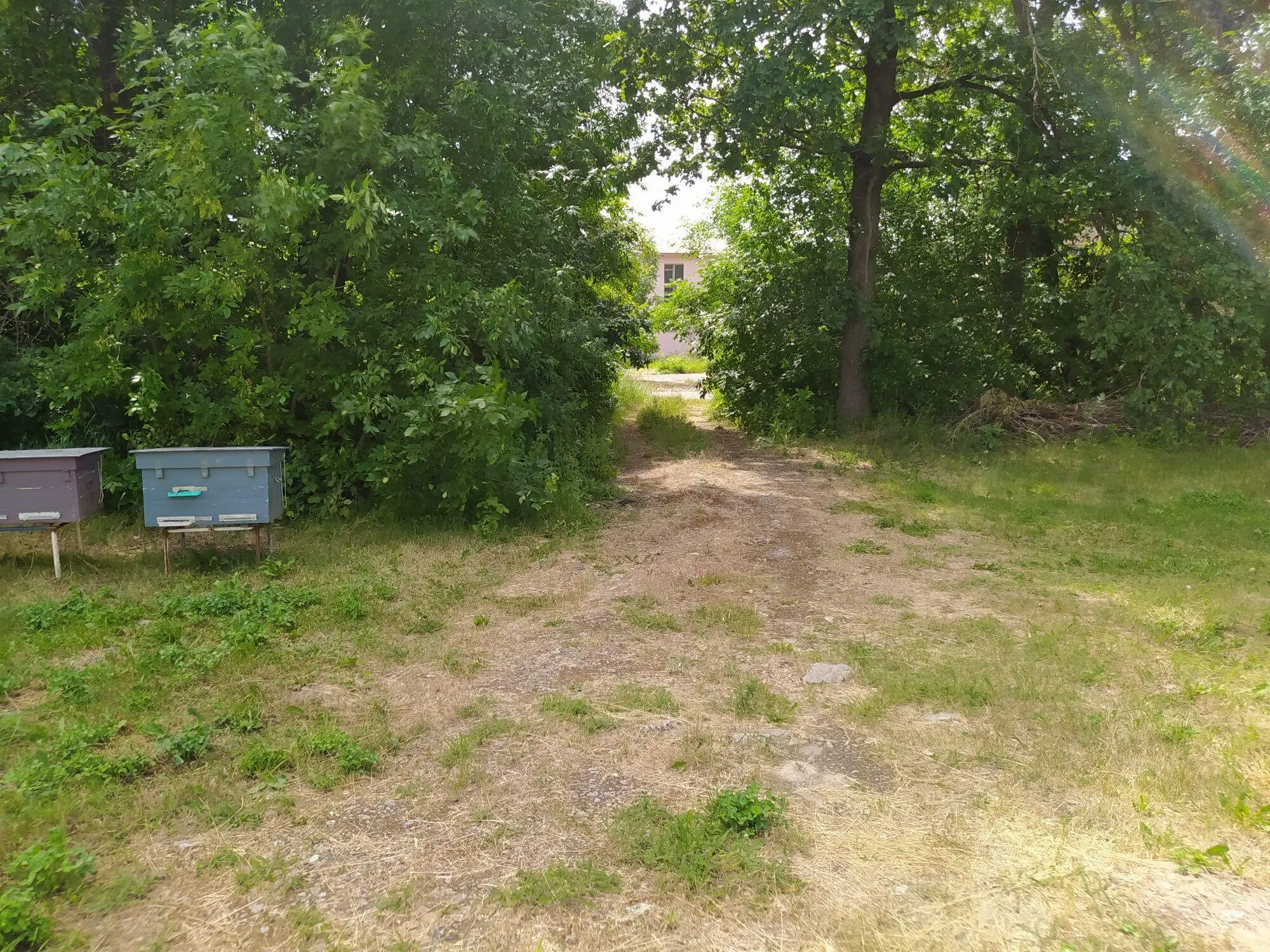 У продажу будинок в передмісті