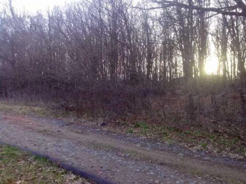 Пропонуємо ділянку в Яру