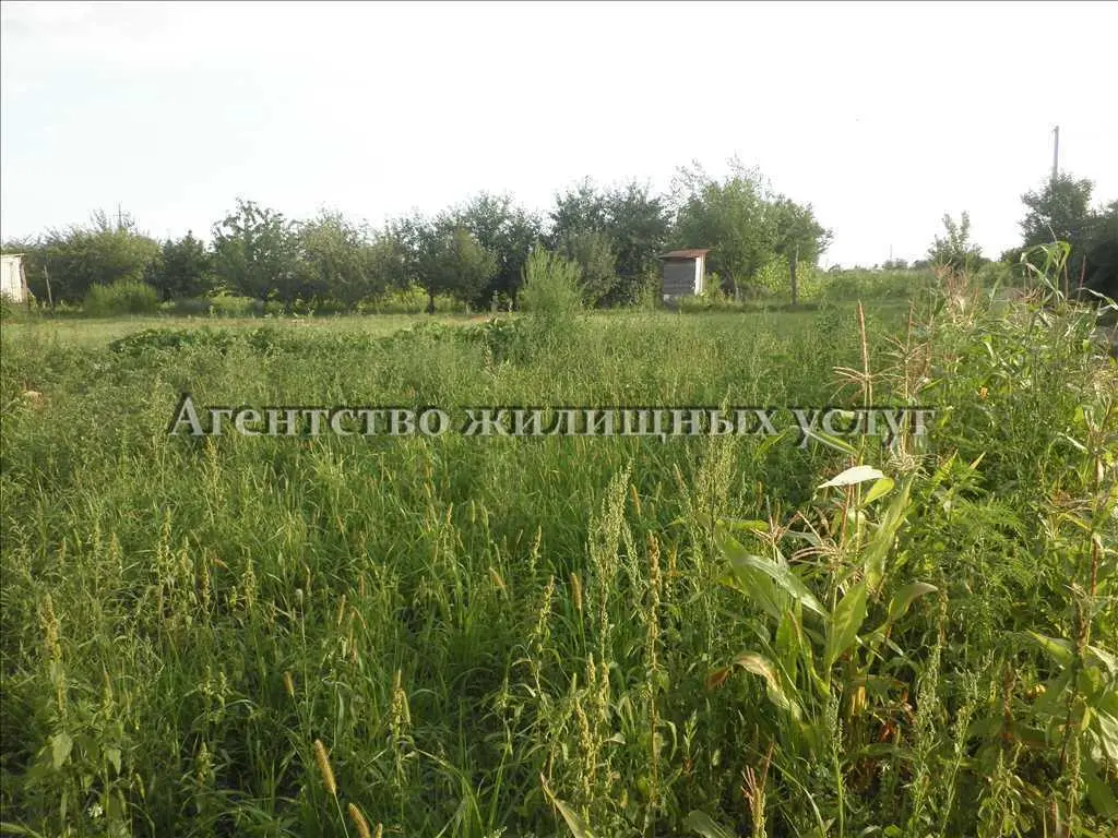 Хороший участок на шостаках