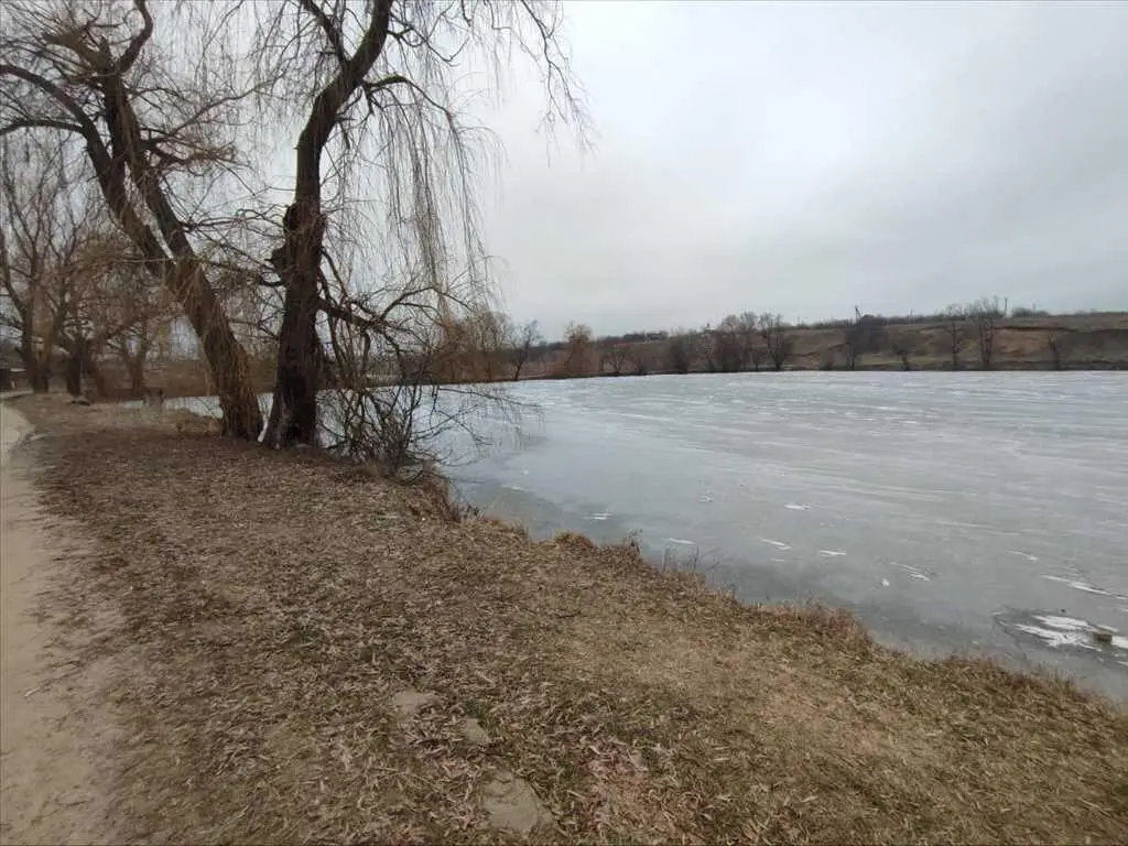 Земельна ділянка в Рибцях з комунікаціями