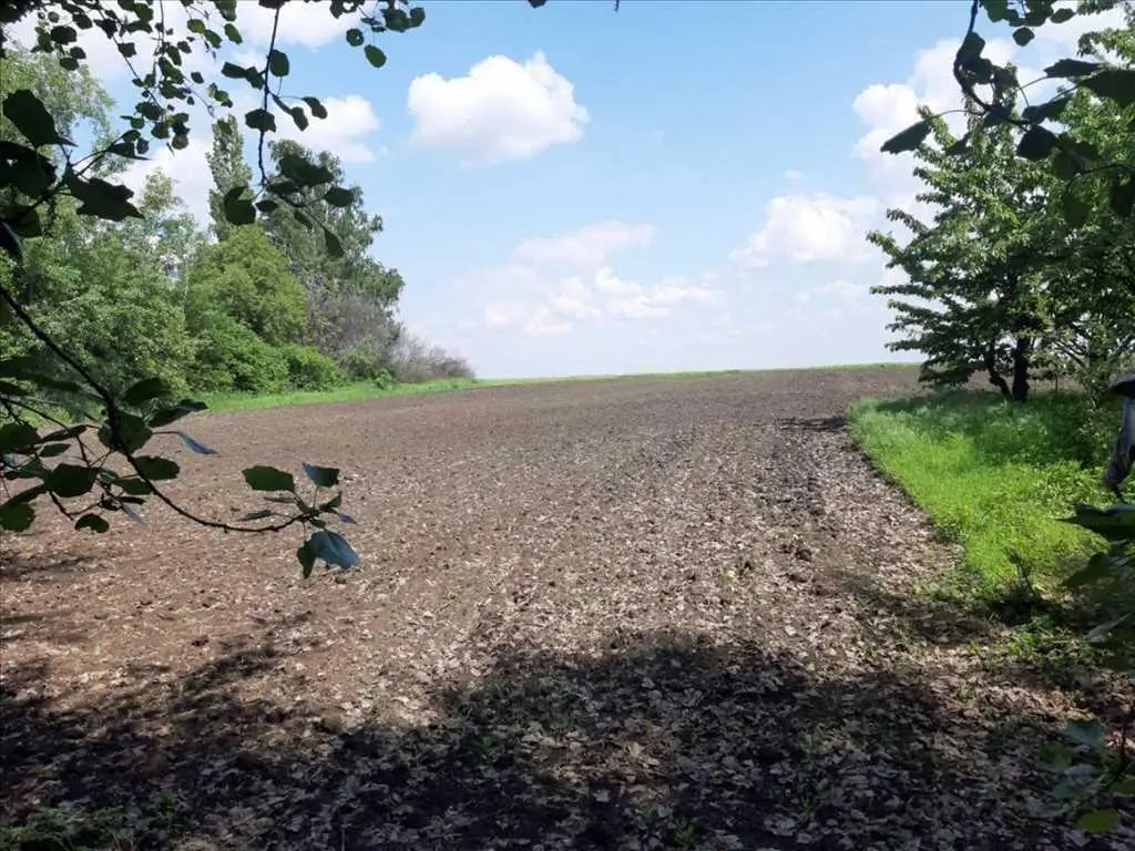 Самий бюджетний будинок з ділянкою.