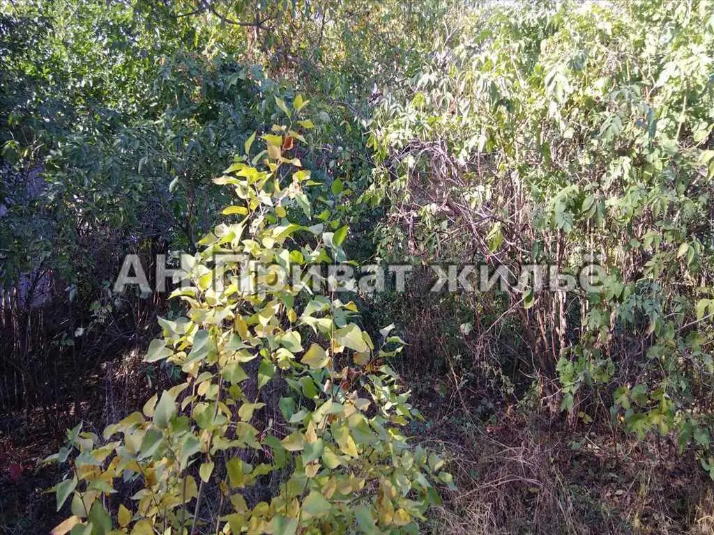 Окремий будинок у Мачухах на великій земельній ділянці