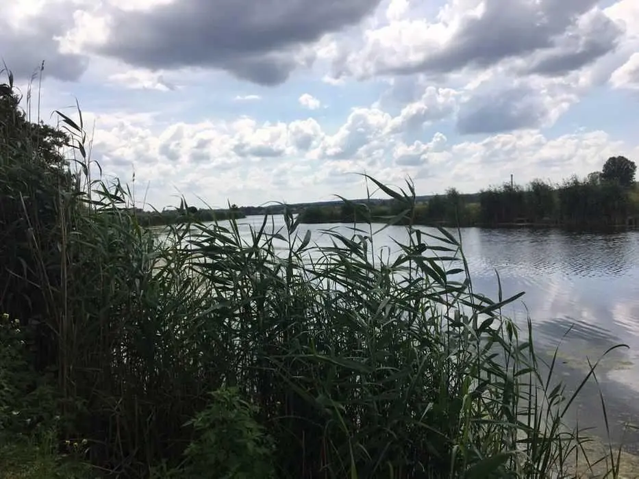  Вакуленцы. Прямоугольный участок под застройку. 