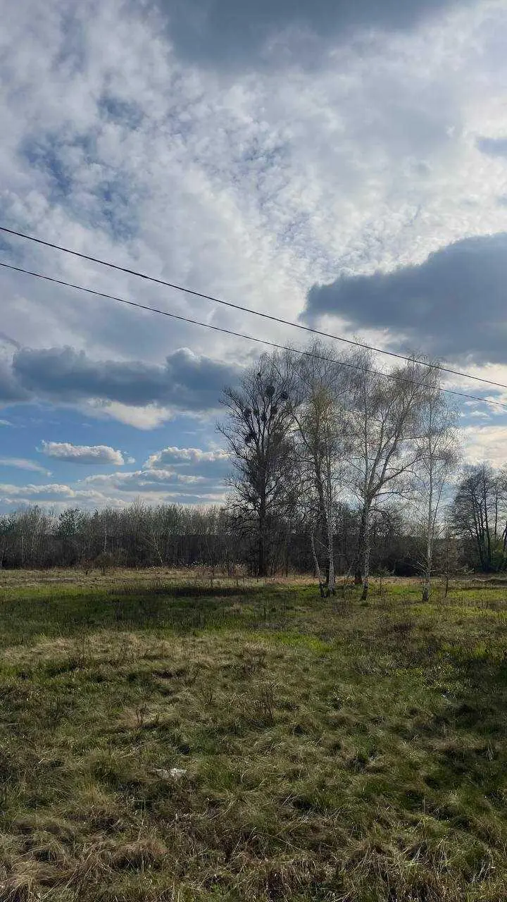 Затурине. Продаж. Земельна ділянка.