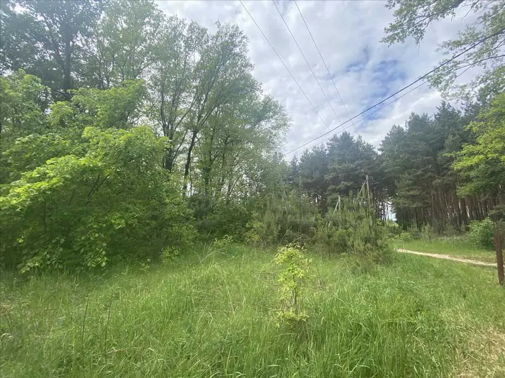 Ділянка біля соснового лісу!