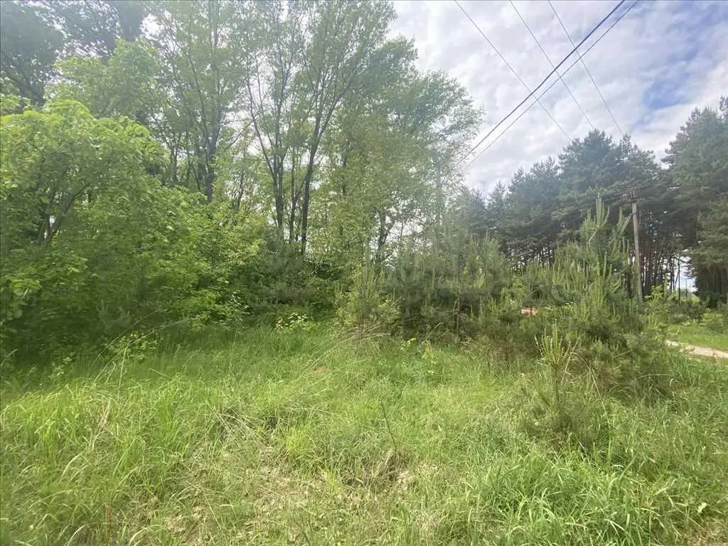 Ділянка біля соснового лісу!