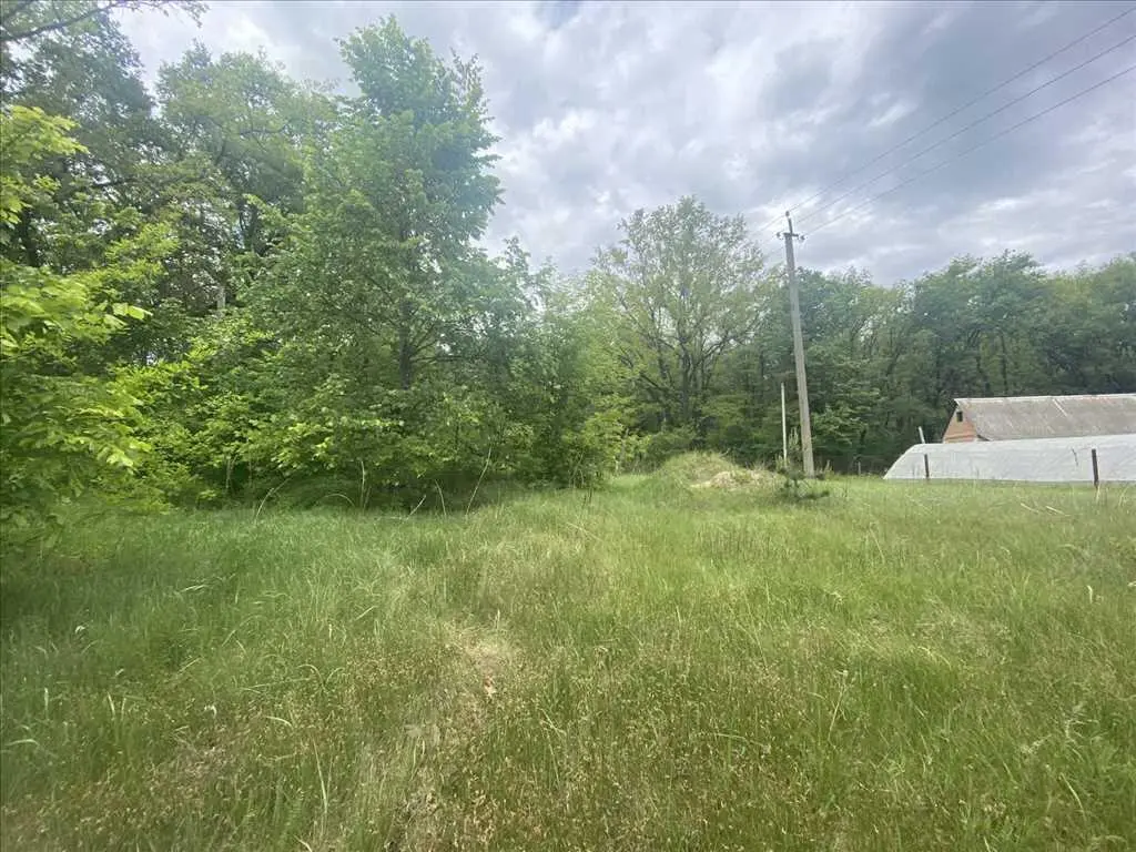 Ділянка біля соснового лісу!