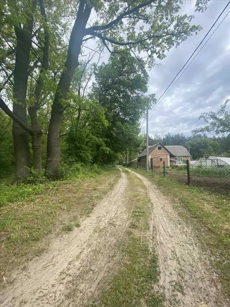 Ділянка біля соснового лісу!