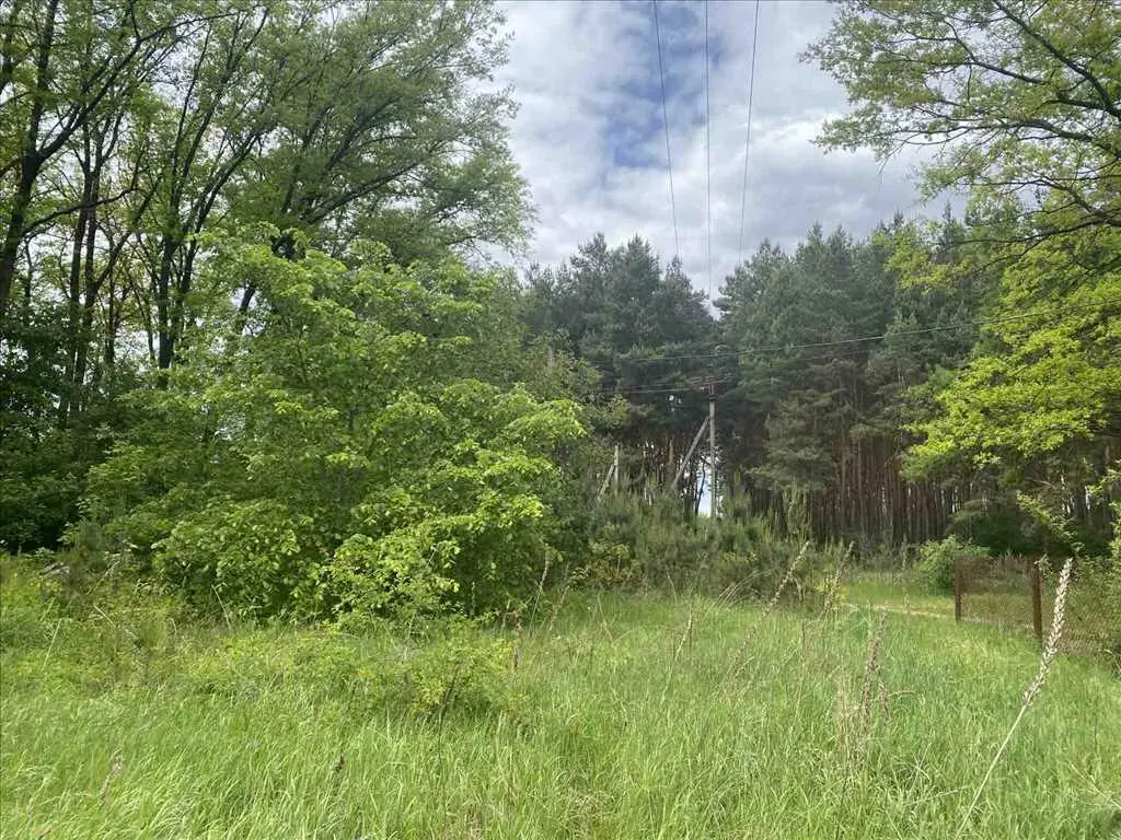 Ділянка біля соснового лісу!