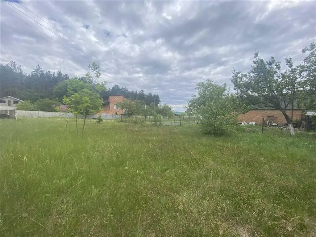 Ділянка біля соснового лісу!