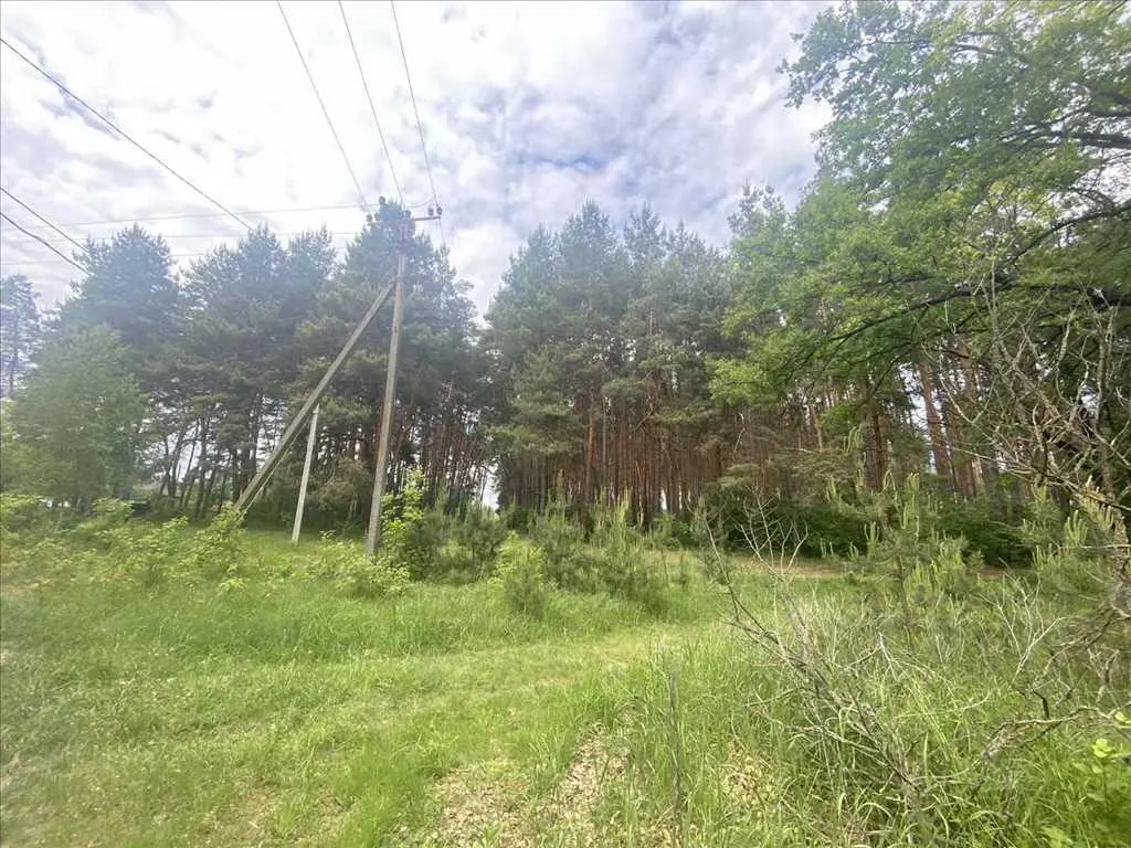 Ділянка біля соснового лісу!