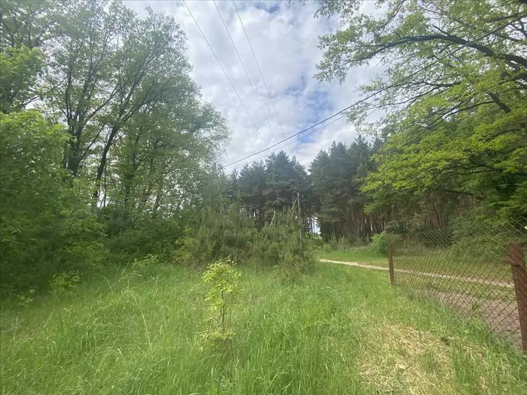 Ділянка біля соснового лісу!