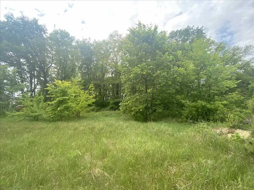 Ділянка біля соснового лісу!