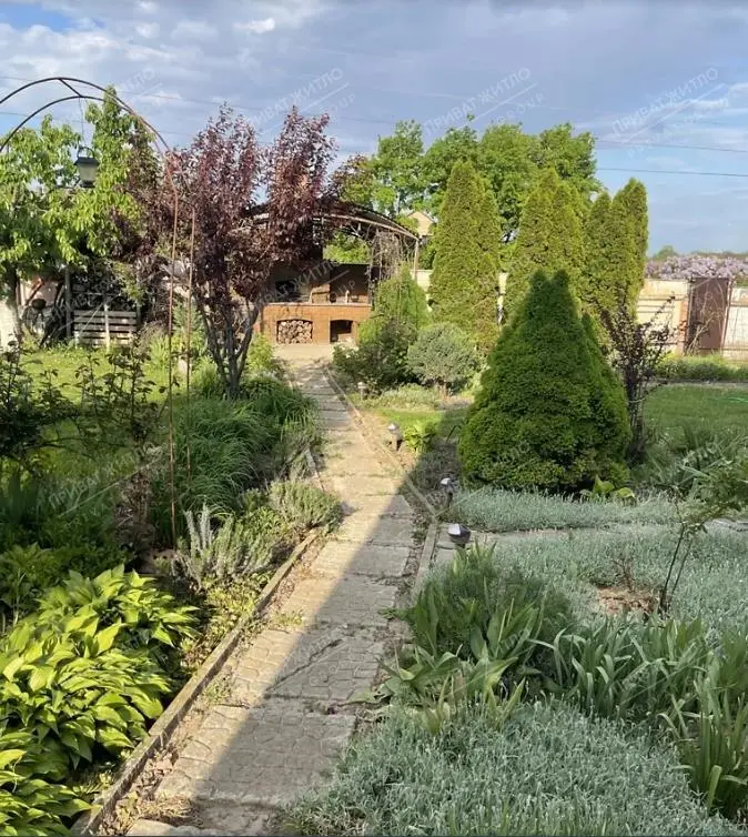 Будинок для дружньої родини! 