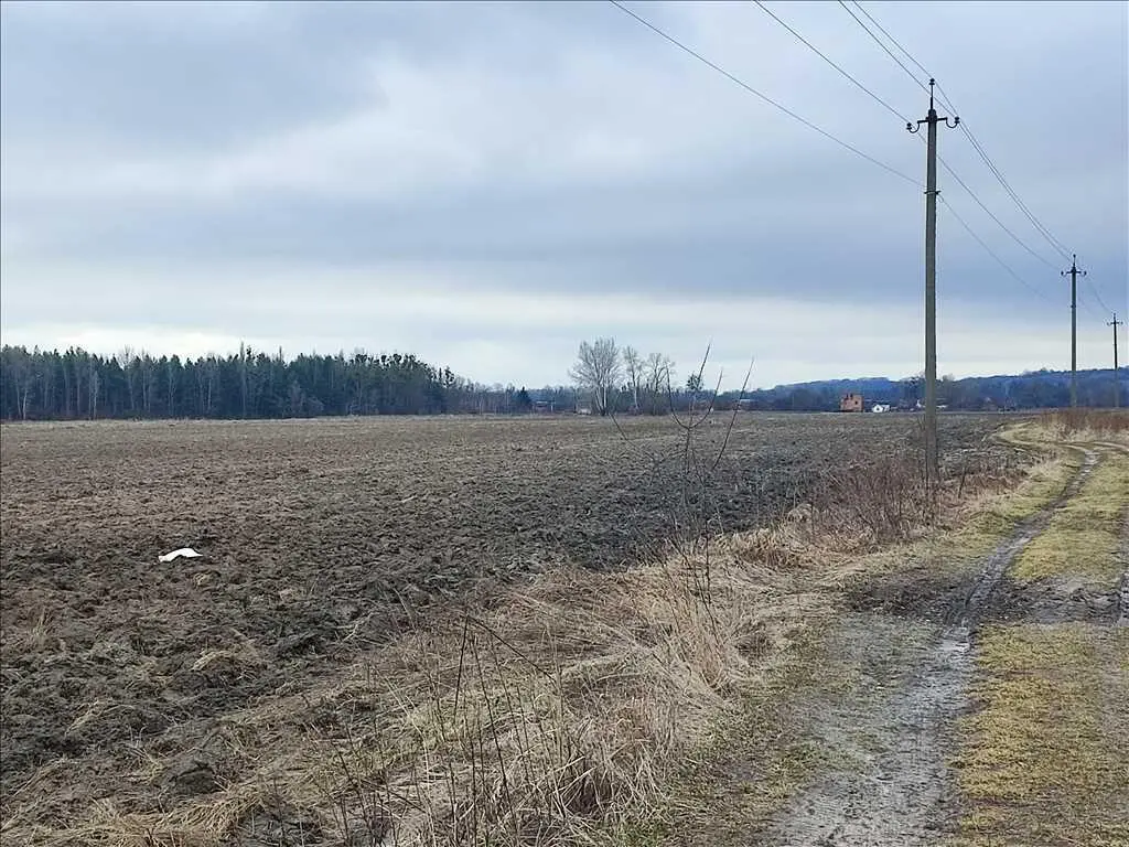 Ділянка 50 соток для будівництва, поряд річка та сосновий ліс! 