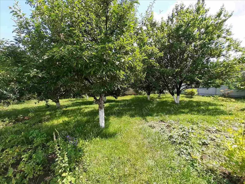 Будинок на два входи. Заходь та живи!