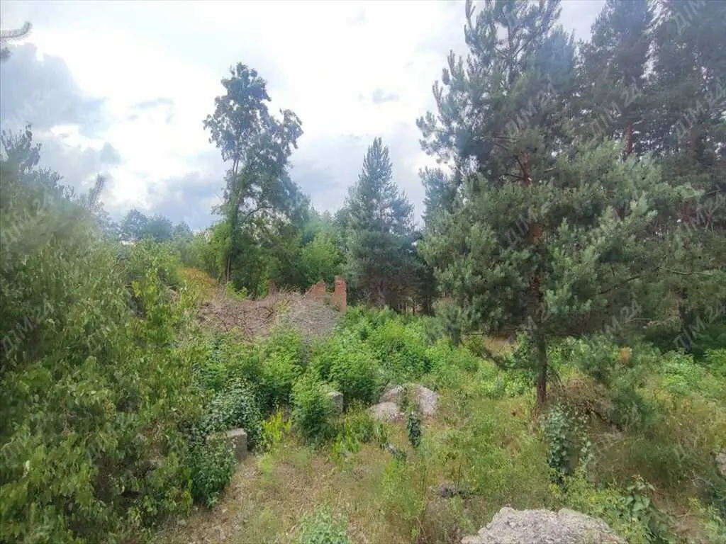 Ділянка з недобудовою в хвойному лісі!