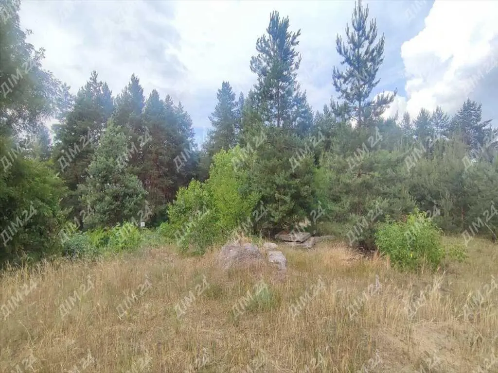 Ділянка з недобудовою в хвойному лісі!