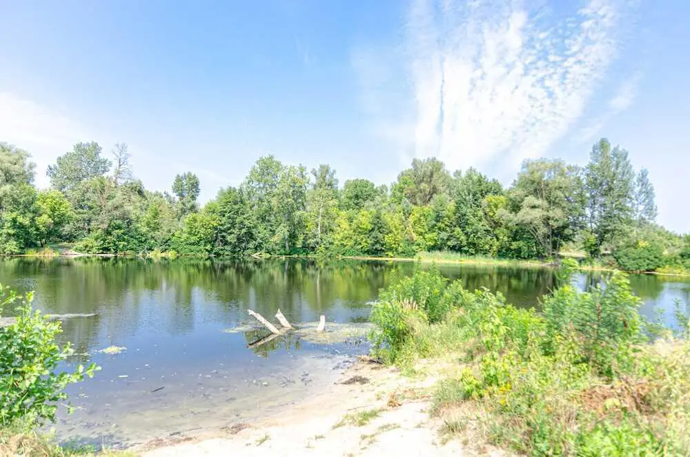 Земельна ділянка у Петрівці біля річки