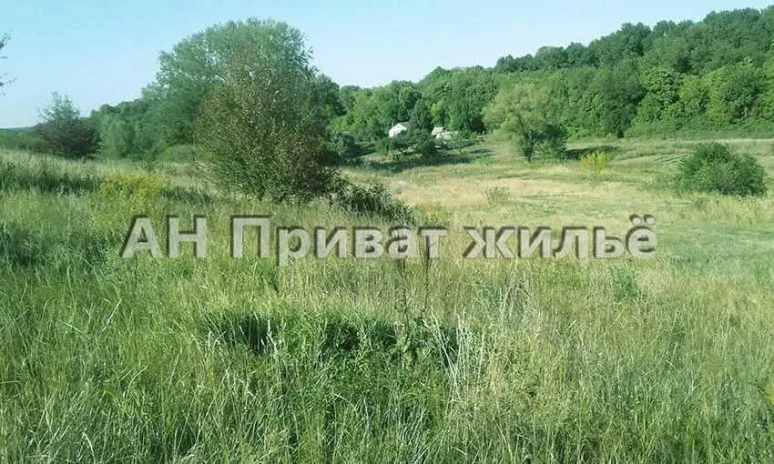 Велика ділянка в Івончинцях, можна під бізнес