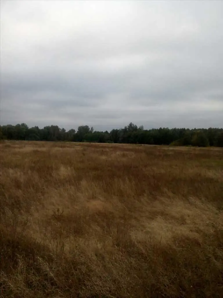 Вакуленці. Подається рівна земельна ділянка