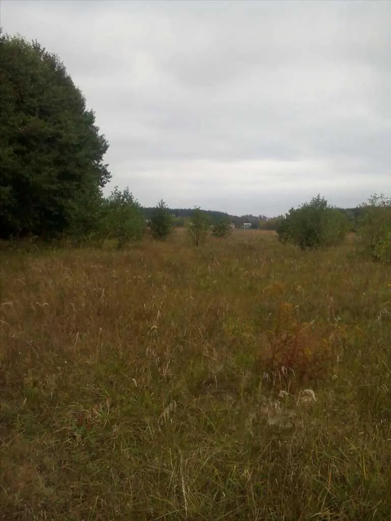 Вакуленці. Подається рівна земельна ділянка