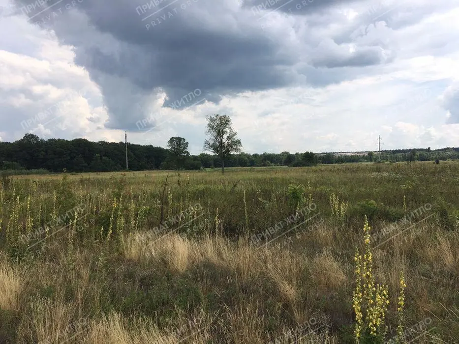  Мачухи. Участок в селе. 