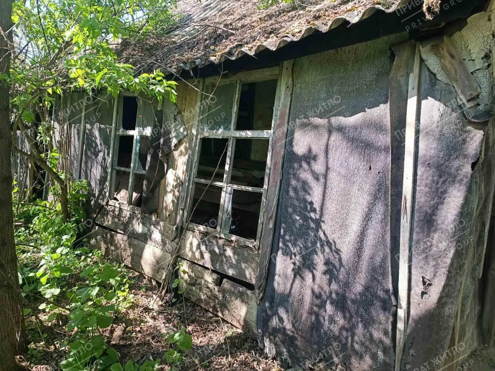  Мачухи. Участок в селе. 