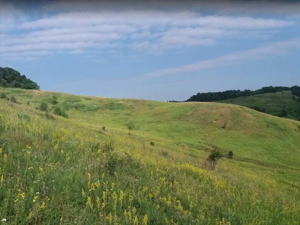 Ділянка в Петрівці 200м до річки! 