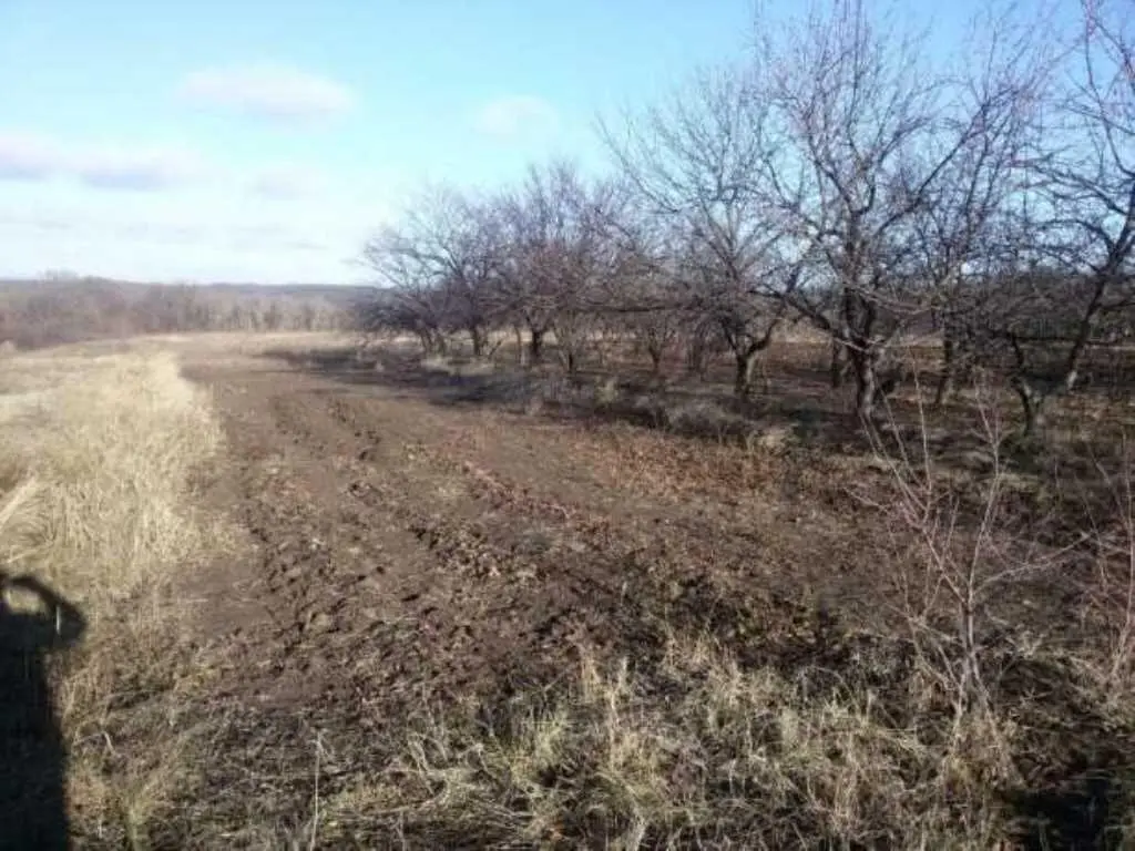 Земельна ділянка з комунікаціями в Мачухах! 