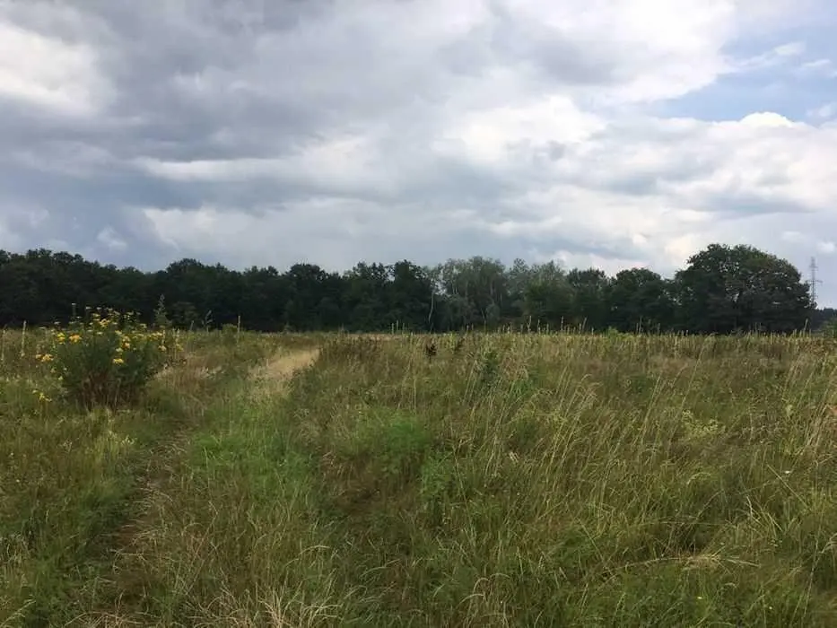 Земельна ділянка під забудову в Тернівщині.