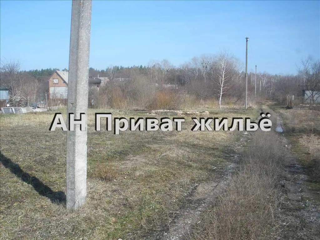 Терешки. Ділянка біля генеральської дачі. 