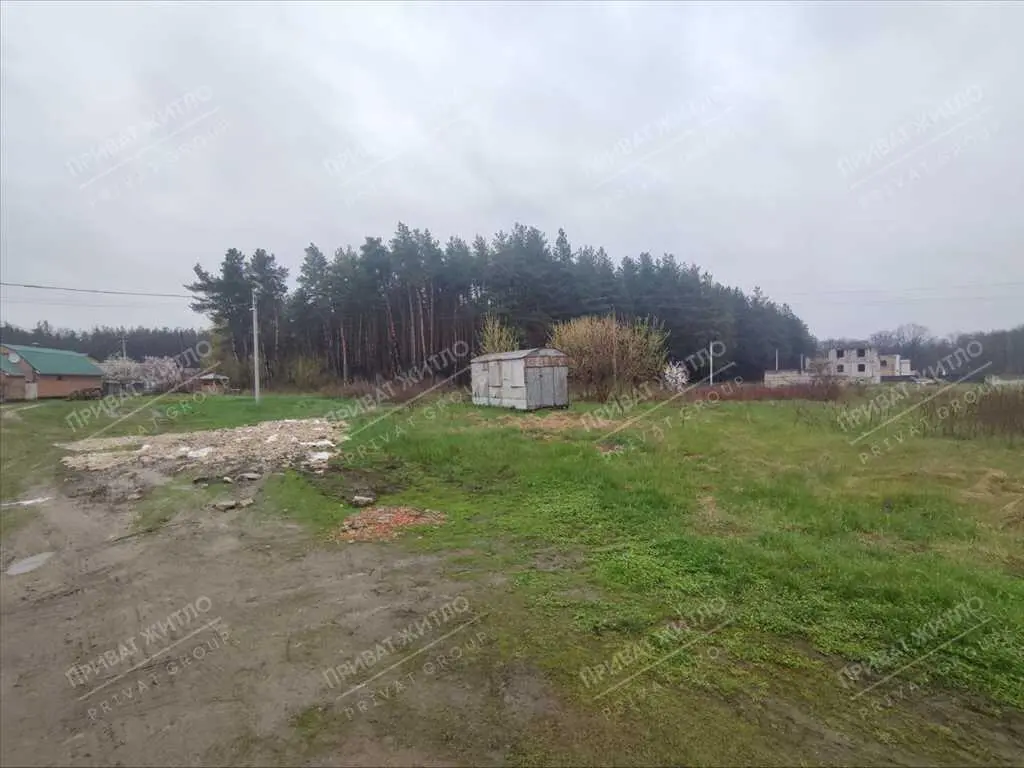 Земельна ділянка з виходом до соснового лісу. 