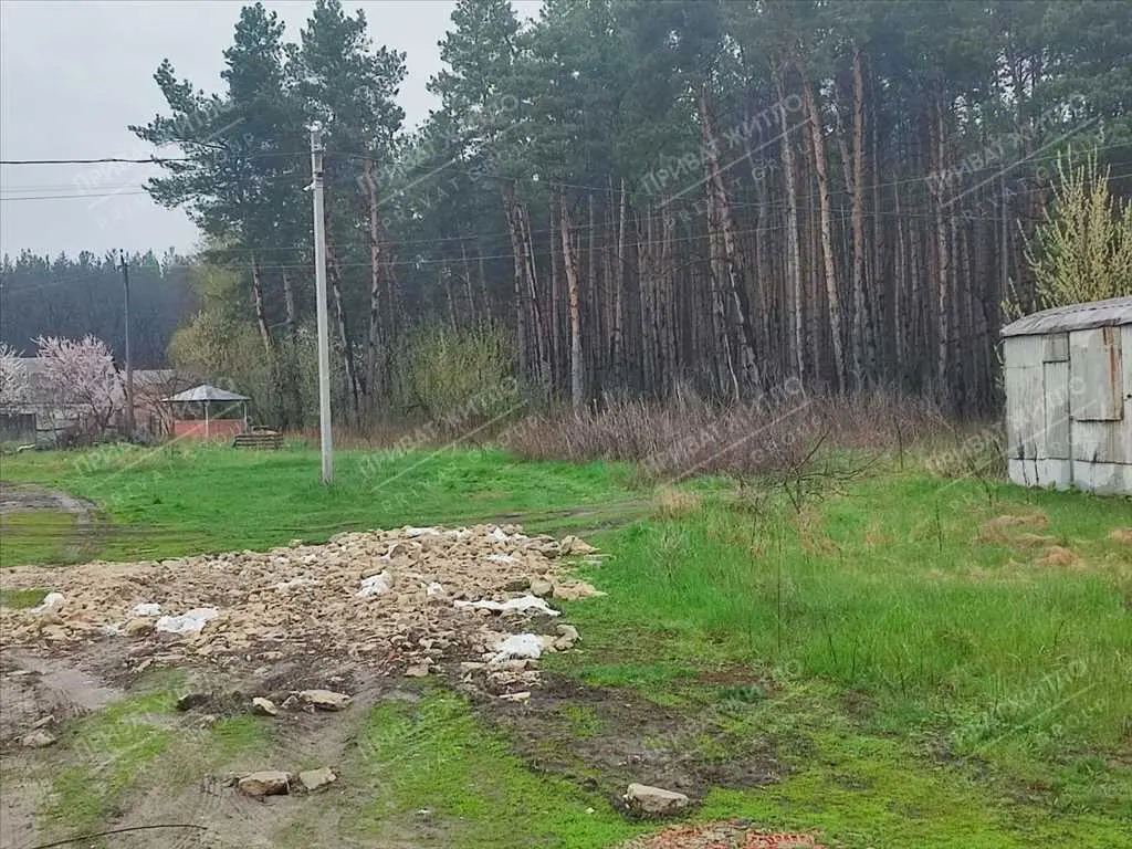 Земельна ділянка з виходом до соснового лісу. 