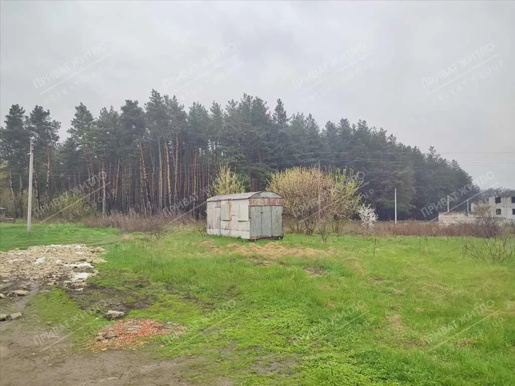 Земельна ділянка з виходом до соснового лісу. 