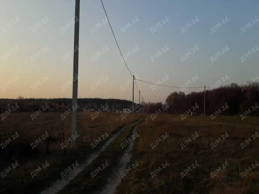 Земельна ділянка в межах міста поряд з лісом!