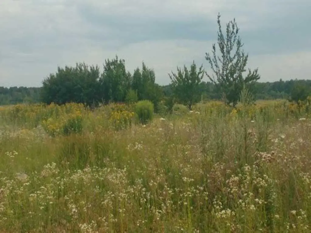 Ділянка ГРЛ під забудову