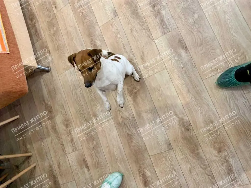 До вашої уваги дуже гарний будинок в Яру