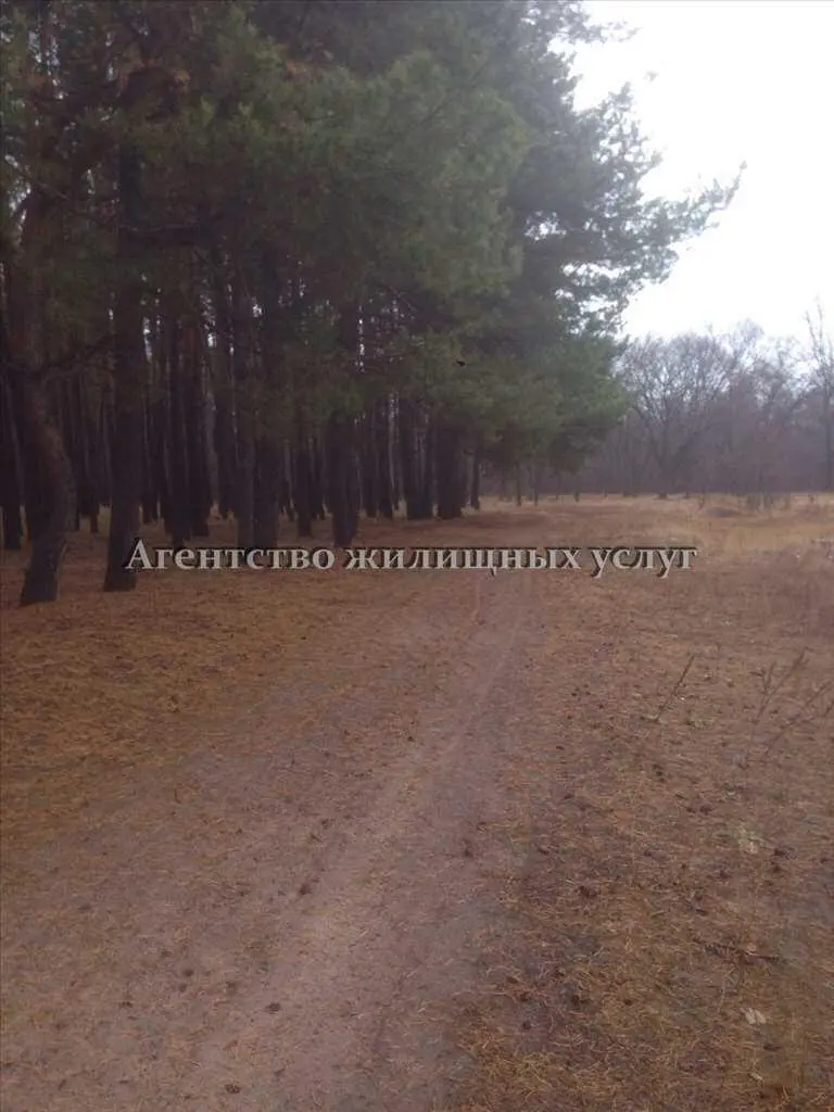 Найкраща ділянка у Вакуленцях!