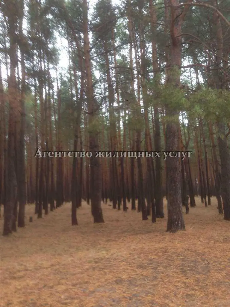 Найкраща ділянка у Вакуленцях!