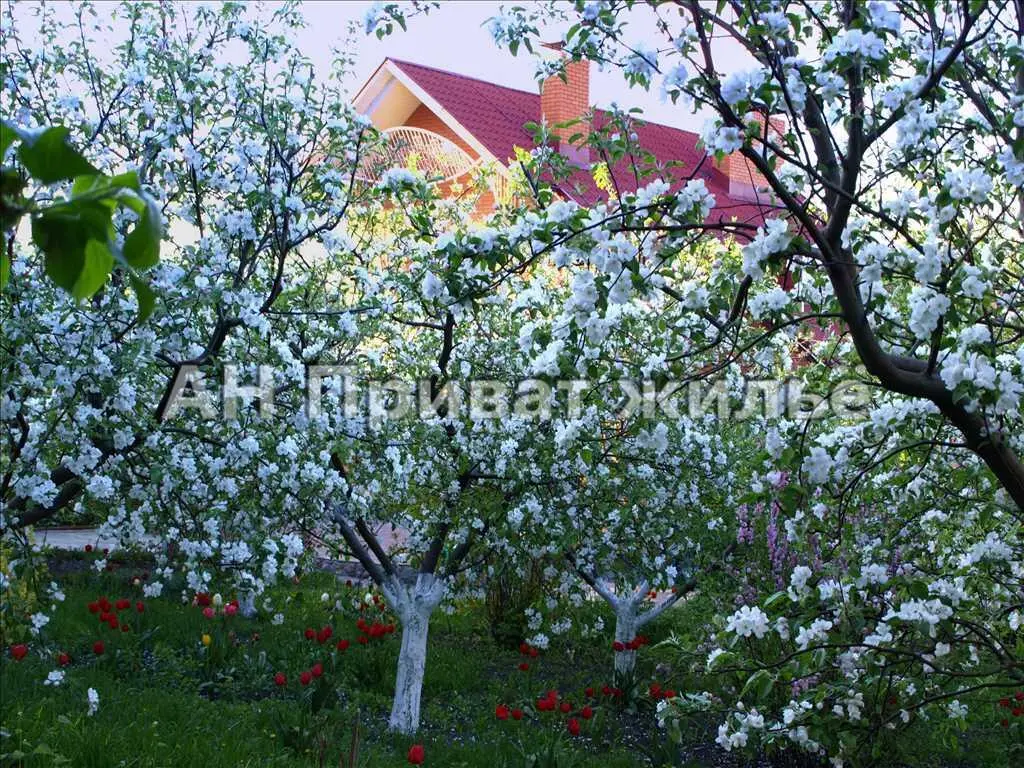Будинок 230м.кв.у центральній частині міста.
