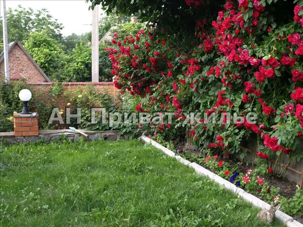 Будинок 230м.кв.у центральній частині міста.