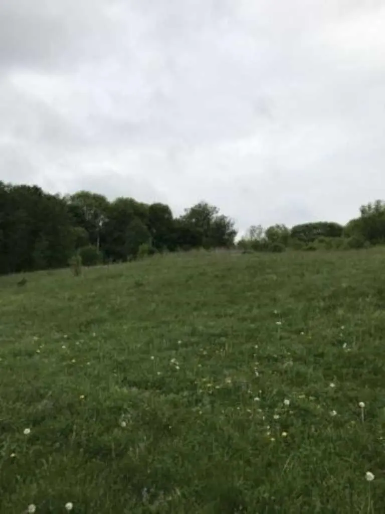 Горбанівка! Ділянка під забудову