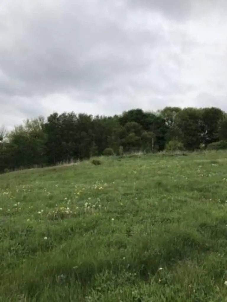 Горбанівка! Ділянка під забудову