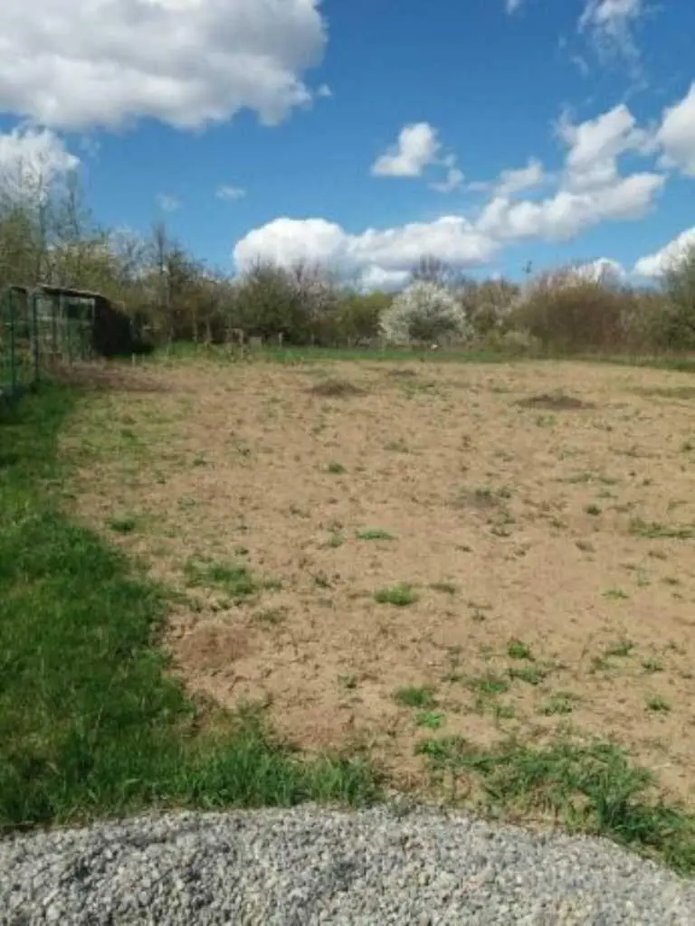 Велика ділянка в Мачухах!