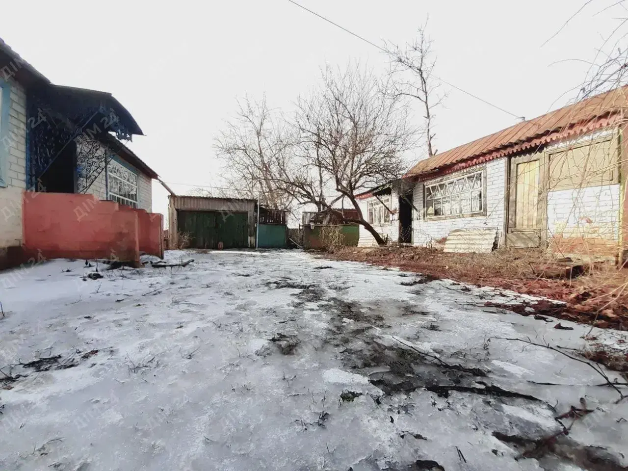 с. Дубина. Будинок в оточенні соснового лісу. 